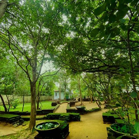 Twin Blocks Nature Resort Holambra Exterior foto