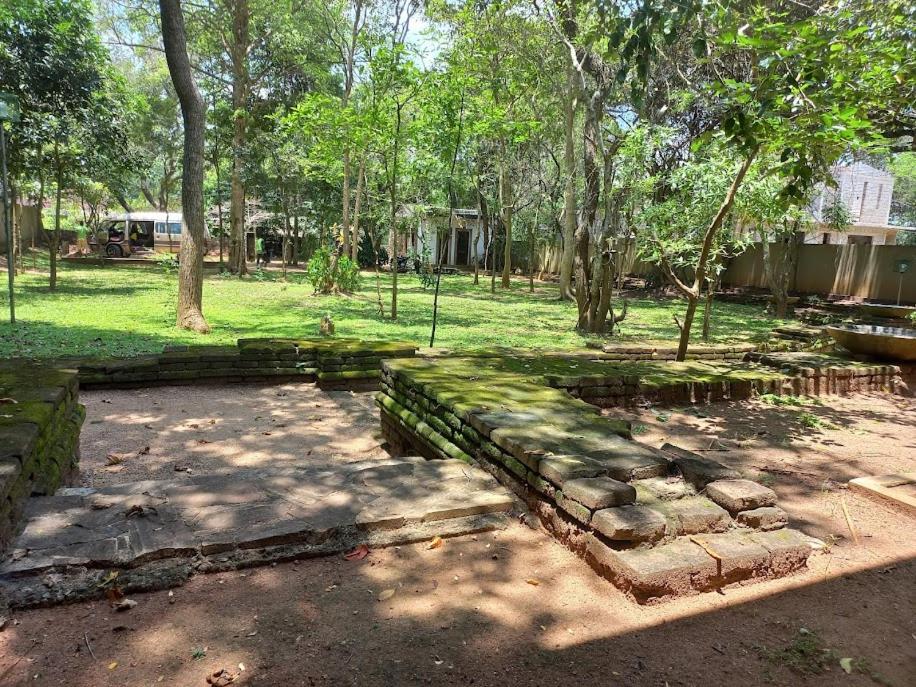 Twin Blocks Nature Resort Holambra Exterior foto